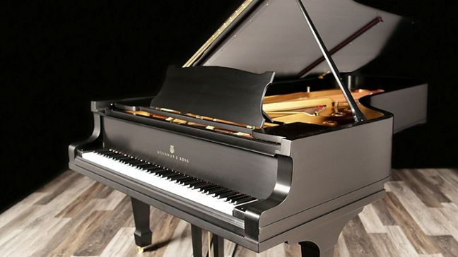 <span>1925</span> Steinway D